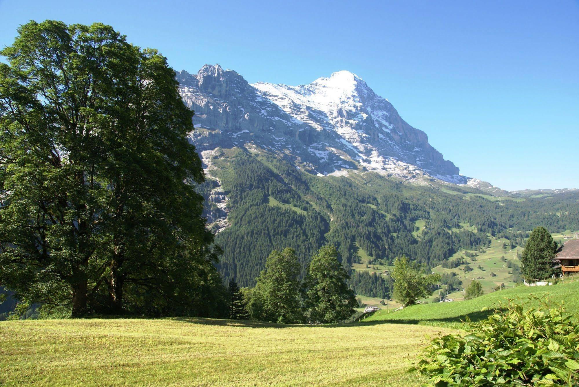 Apartment Nussbaum - Griwa Rent Ag Grindelwald Exterior foto